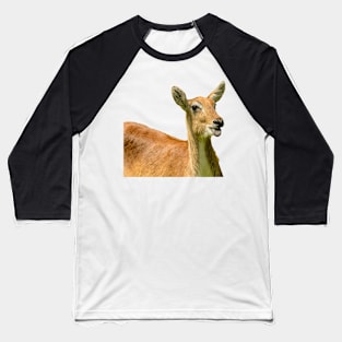 Silly Moose Baseball T-Shirt